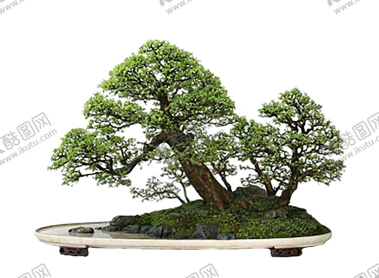 编号：93032307090048383984【酷图网】源文件下载-花艺