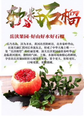 石榴台湾芭乐芭乐果汁