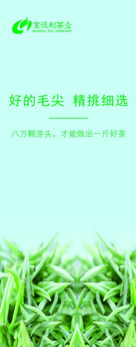 茶叶海报