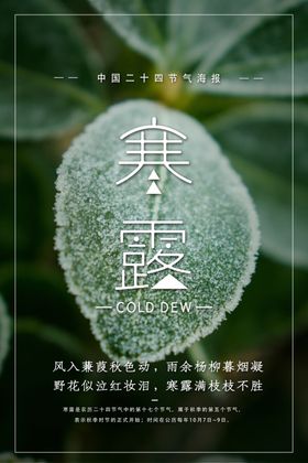 寒露节气海报24挂画简洁挂画