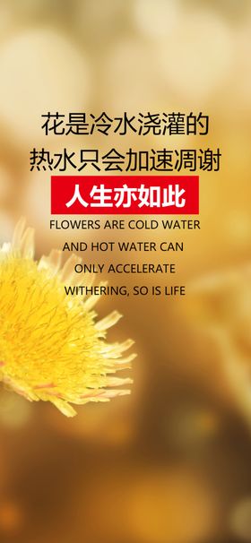 每日一签励志