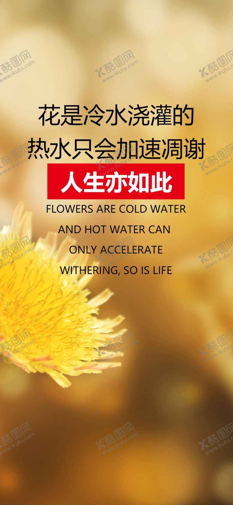 编号：54031605130516069292【酷图网】源文件下载-每日一签励志