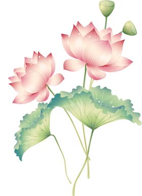 荷花元素