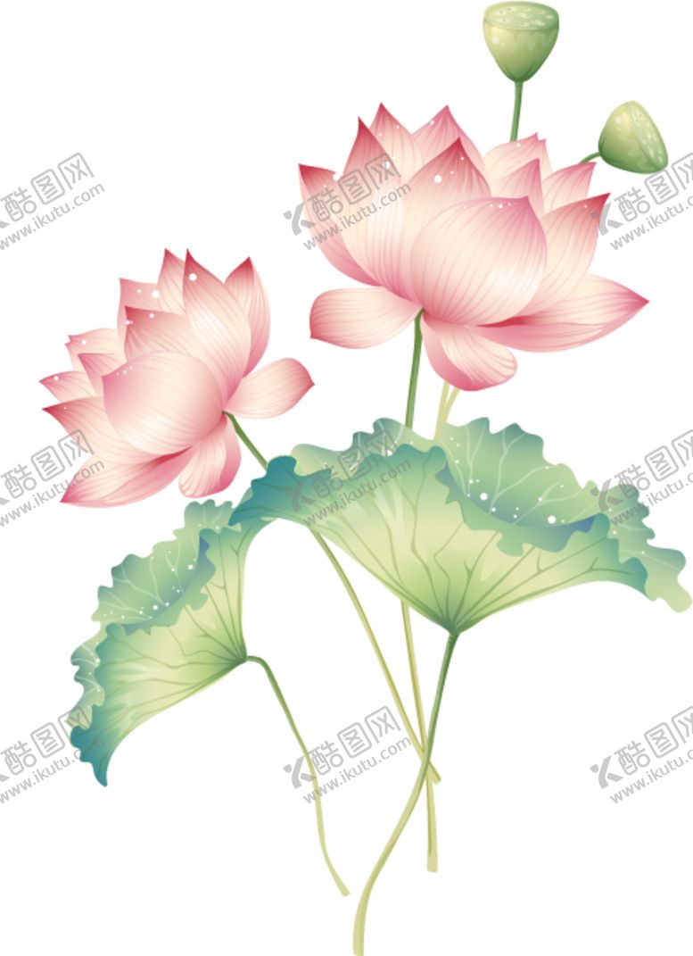 编号：98986207041418148096【酷图网】源文件下载-荷花元素