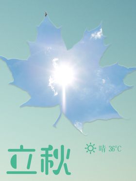秋天来了枫叶红叶大树阳光邂逅美景