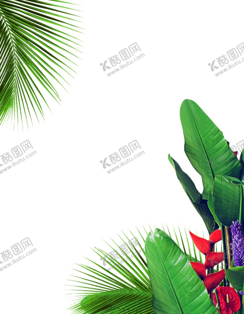 编号：96634407090028574905【酷图网】源文件下载-植物