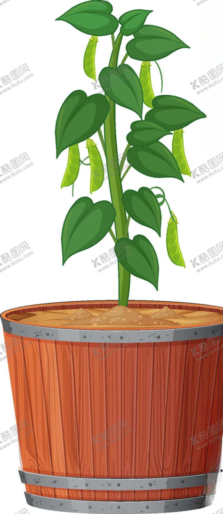 编号：48451209172101265249【酷图网】源文件下载-盆景盆栽