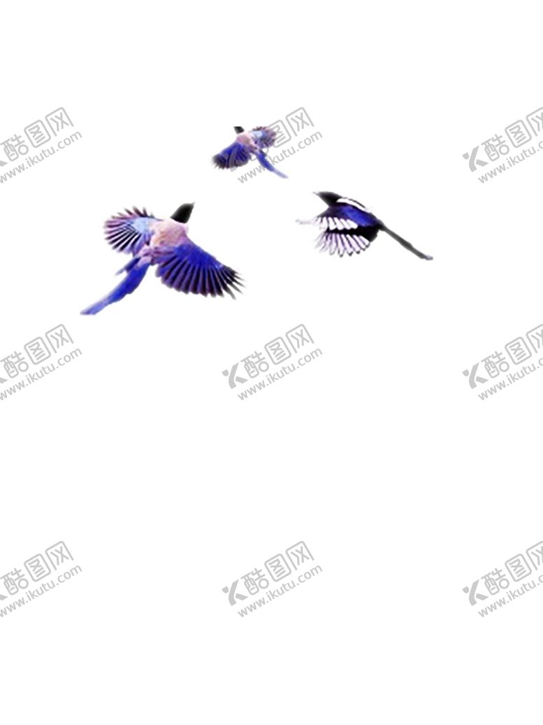 编号：55702109202051084731【酷图网】源文件下载-浪漫素材