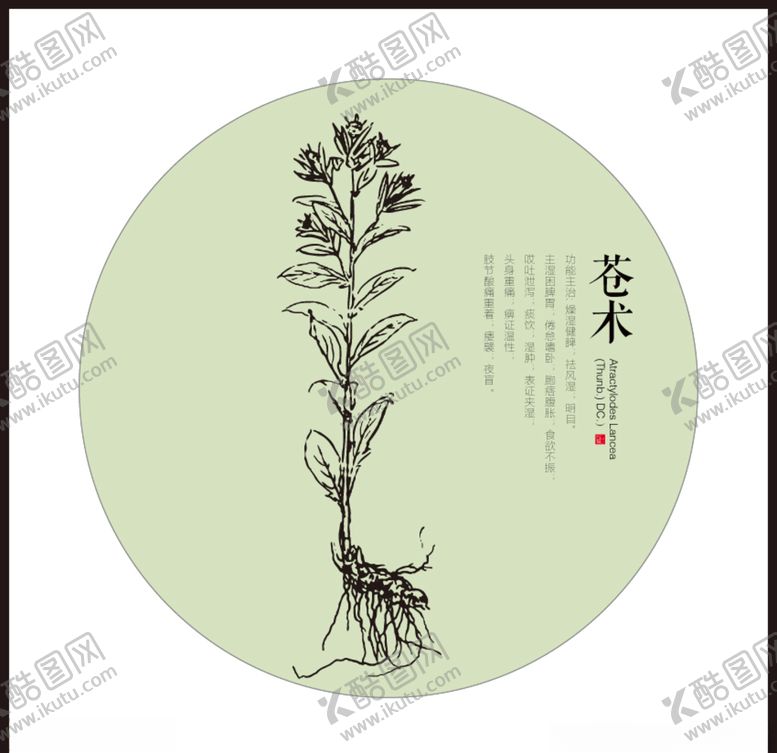 编号：54414810290917484238【酷图网】源文件下载-苍术