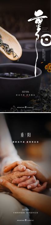 重阳喝茶海报