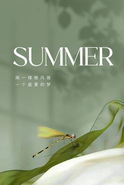 大暑处暑小暑夏至蜻蜓节气