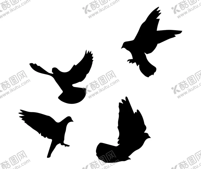 编号：30897110022209326043【酷图网】源文件下载-鸽子