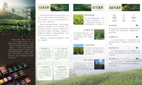 茶叶海报 折页