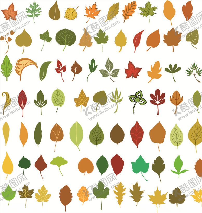 编号：34017109132153078717【酷图网】源文件下载-手绘矢量树叶