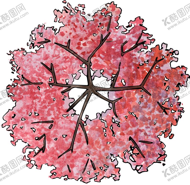 编号：82726604211047406990【酷图网】源文件下载-手绘植物