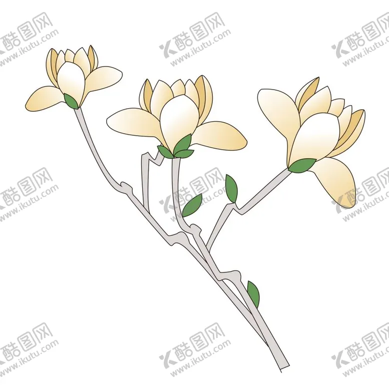 编号：43492211302134354889【酷图网】源文件下载-玉兰花手绘插画矢量素材