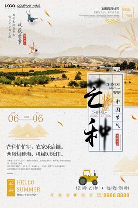 芒种企业地产祝福问候简约全屏海报