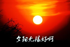 沙漠壮观夕阳美景房产创意海报