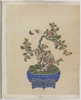 盆景花鸟