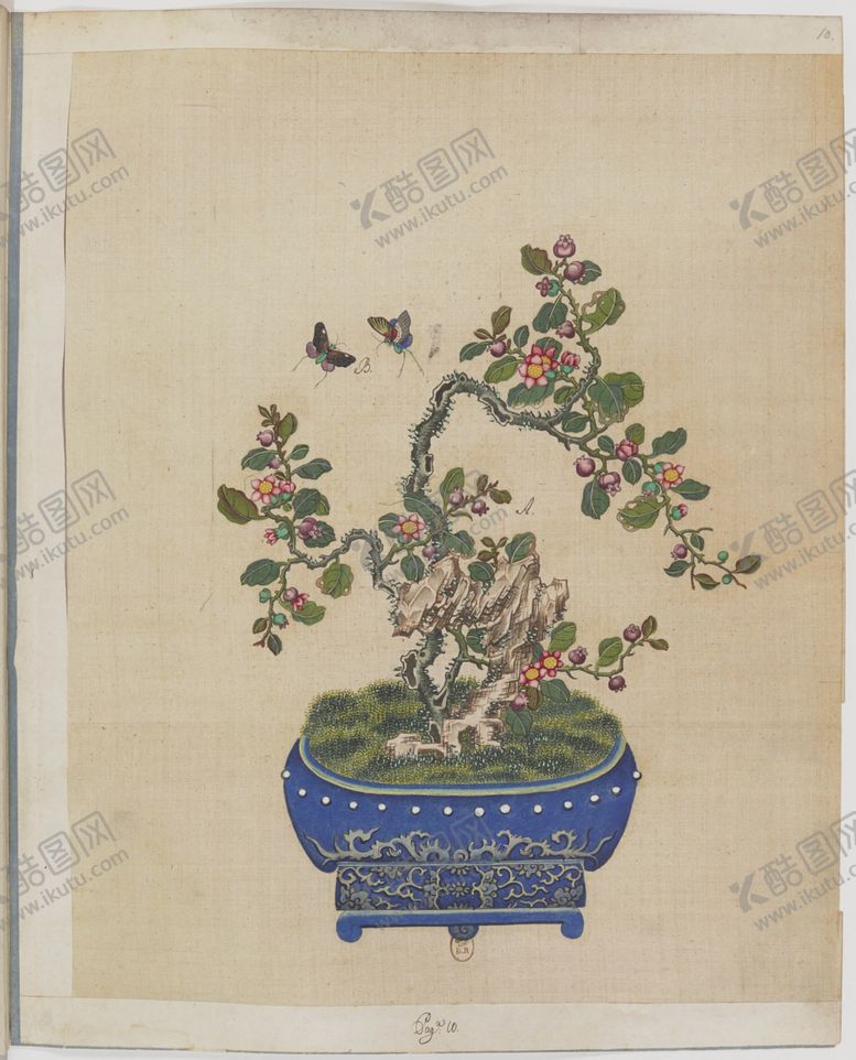 编号：71063407011834269594【酷图网】源文件下载-盆景花鸟