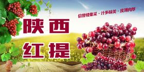 陕西红提