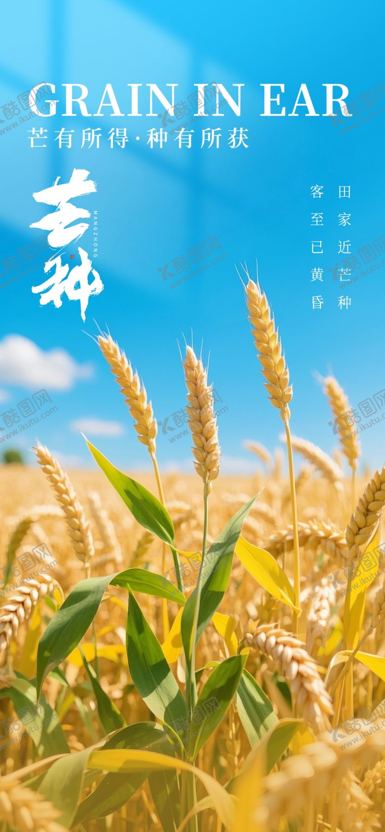 编号：17735105250148279616【酷图网】源文件下载-芒种