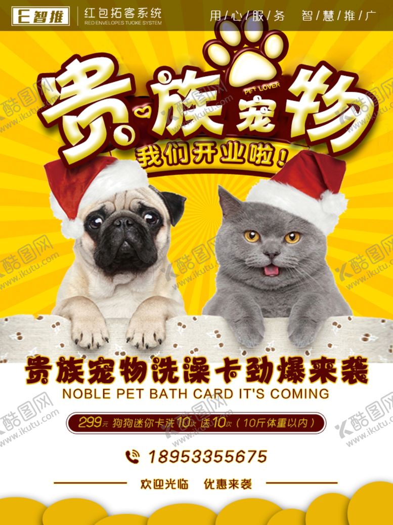 编号：71188809171455063361【酷图网】源文件下载-宠物店海报