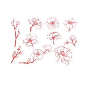 梅花素材