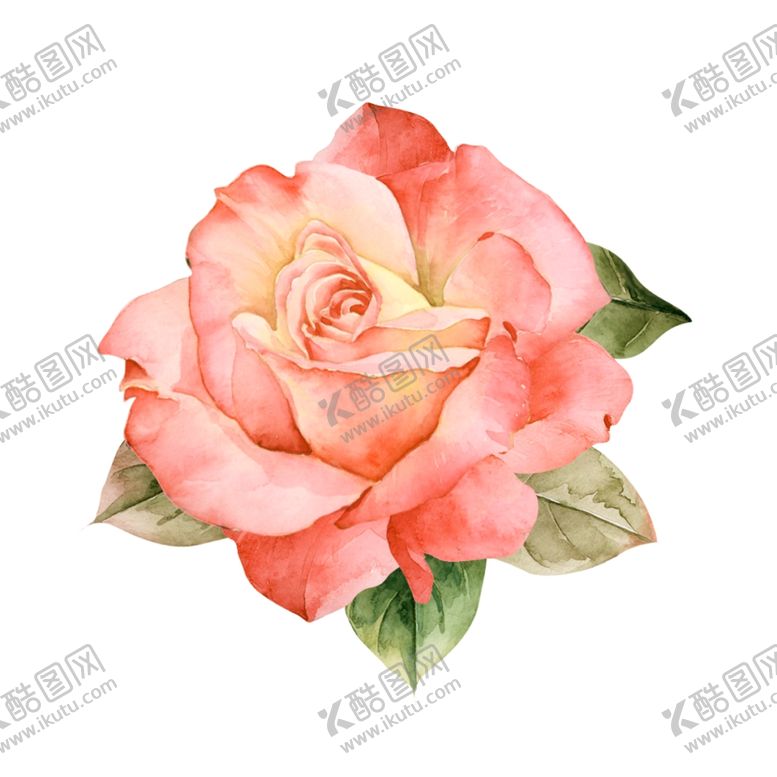 编号：90328804281232017462【酷图网】源文件下载-水彩玫瑰花