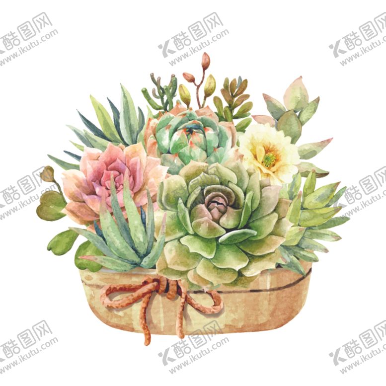 编号：81038710251831264378【酷图网】源文件下载-水彩花卉