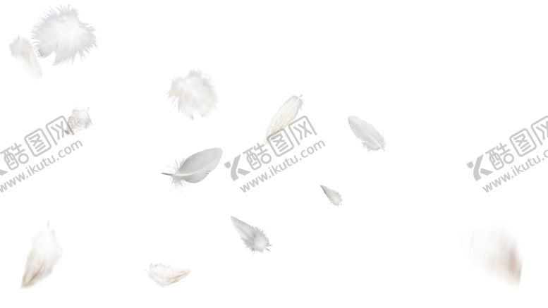 编号：82619002050221225906【酷图网】源文件下载-羽毛