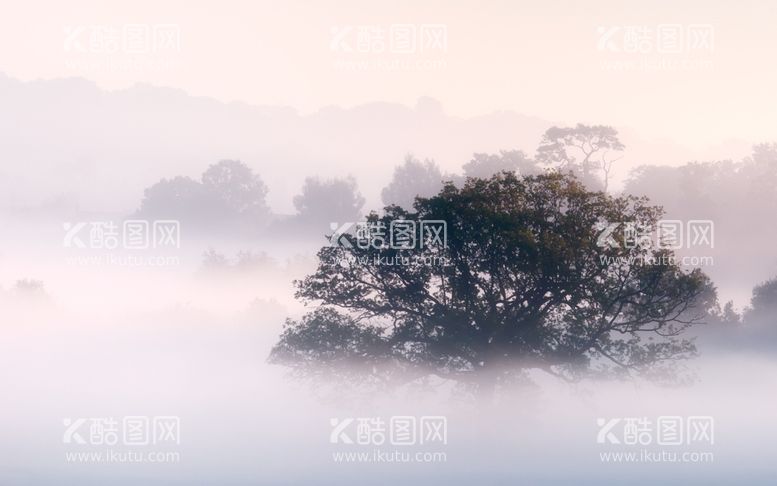 编号：37690112111550544755【酷图网】源文件下载-自然风景壁纸背景