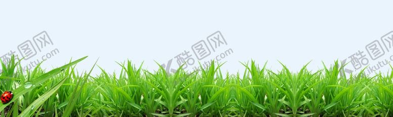 编号：43105610050419373965【酷图网】源文件下载-小草