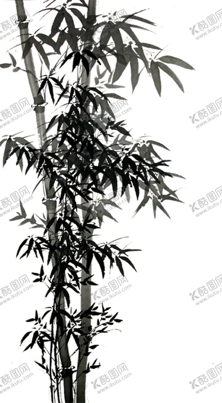 编号：86146403280914324491【酷图网】源文件下载-水墨竹子