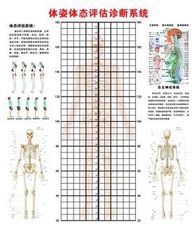 体资 体态 评估