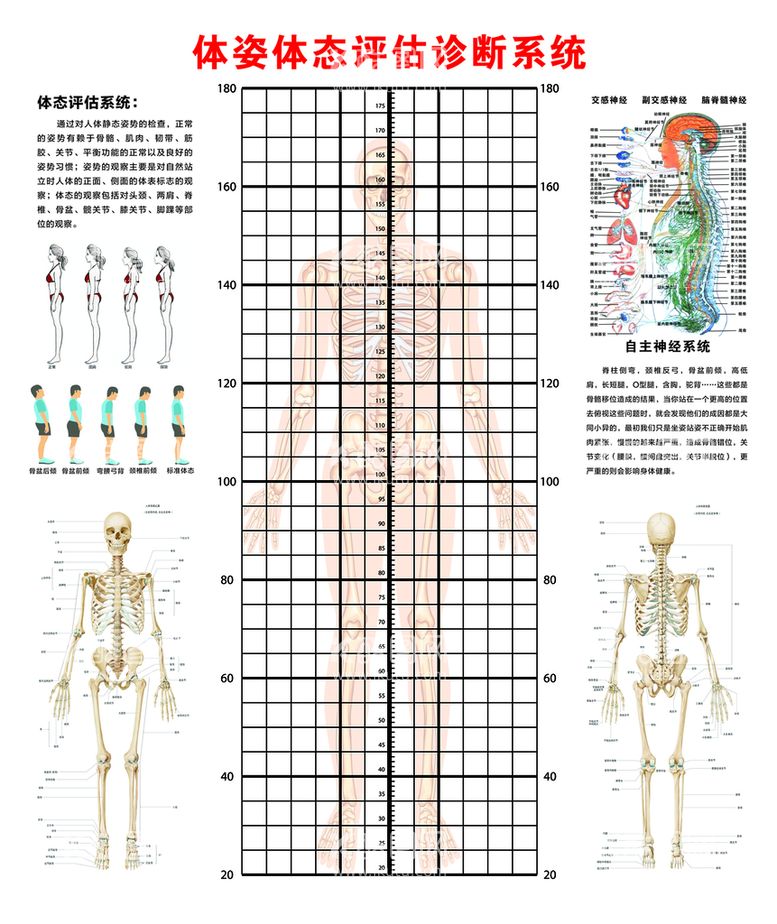 编号：17491812212102266856【酷图网】源文件下载-体资 体态 评估