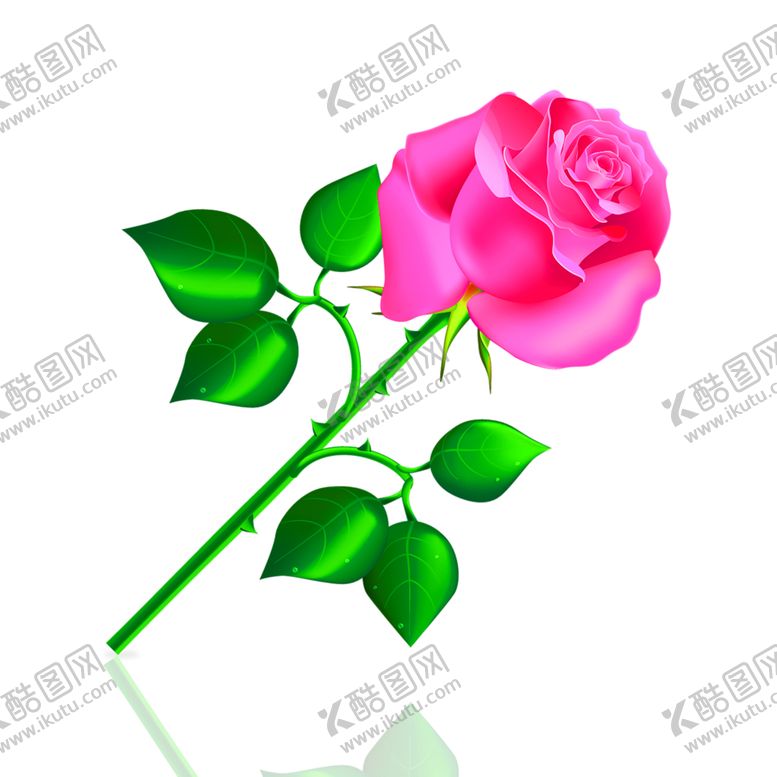 编号：40895305140257183751【酷图网】源文件下载-鲜花装饰