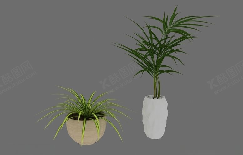 编号：68950509181306199106【酷图网】源文件下载-植物盆栽3d模型