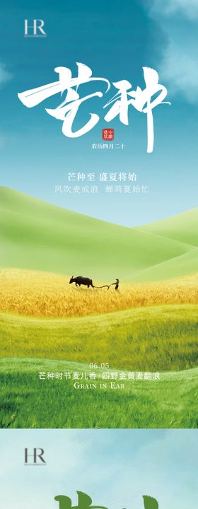 芒种海报