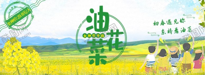 编号：51043409212017441940【酷图网】源文件下载-油菜花banner图