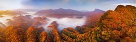 光雾山 红叶