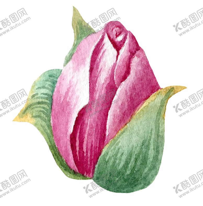 编号：73224409251406586219【酷图网】源文件下载-手绘植物