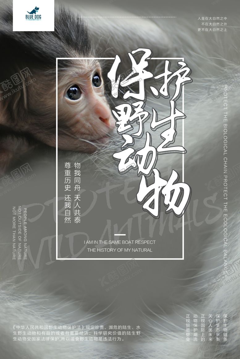 编号：38679307060956515765【酷图网】源文件下载-保护野生动物
