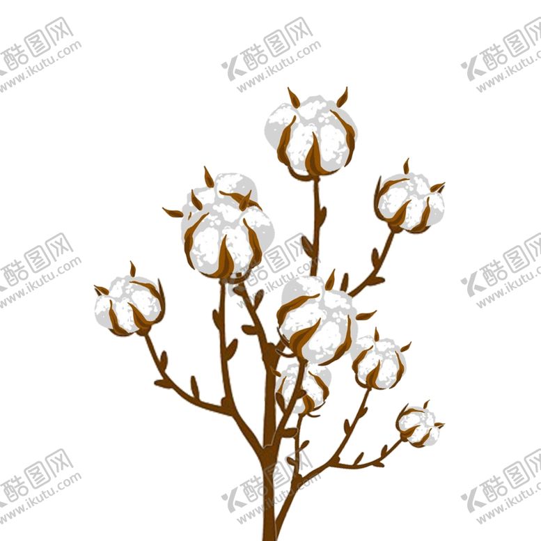 编号：44182705132024449622【酷图网】源文件下载-装饰植物棉花元素