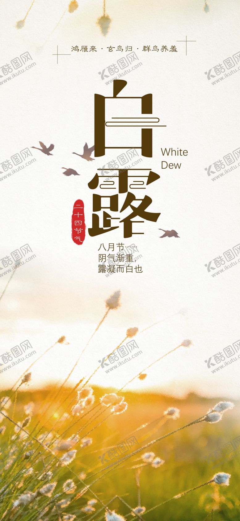 编号：52430809291502429774【酷图网】源文件下载-白露