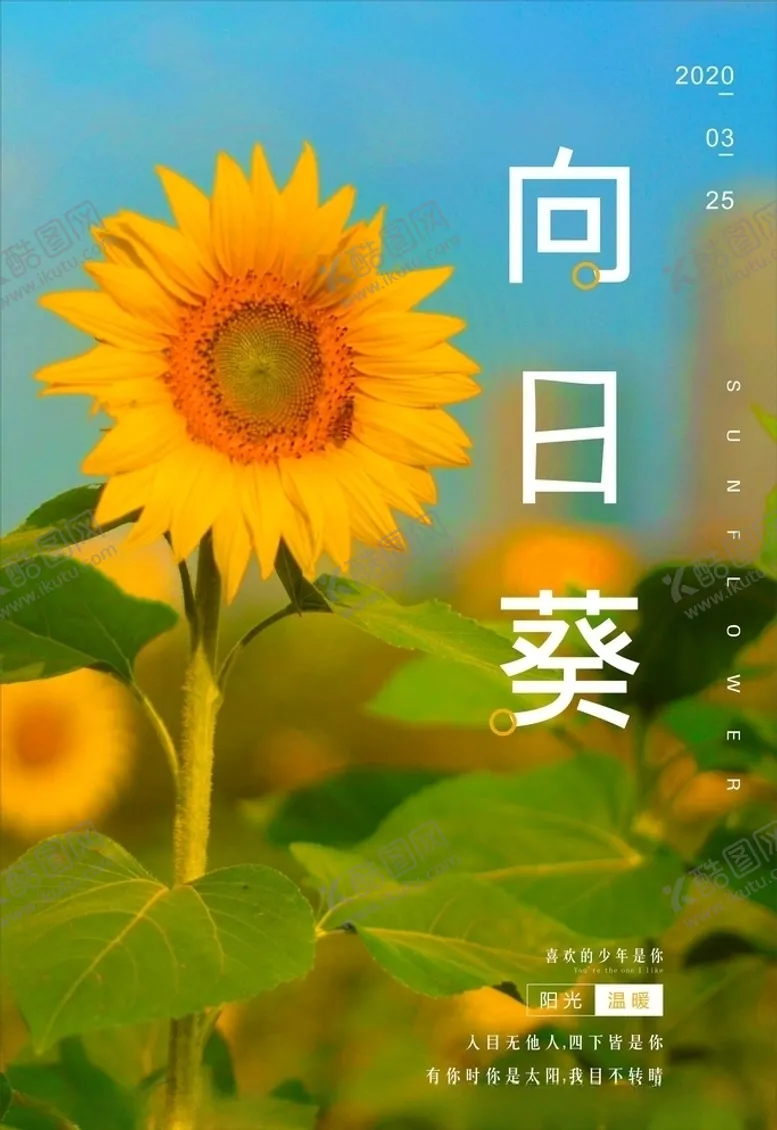 编号：91390906281827272592【酷图网】源文件下载-向日葵海报