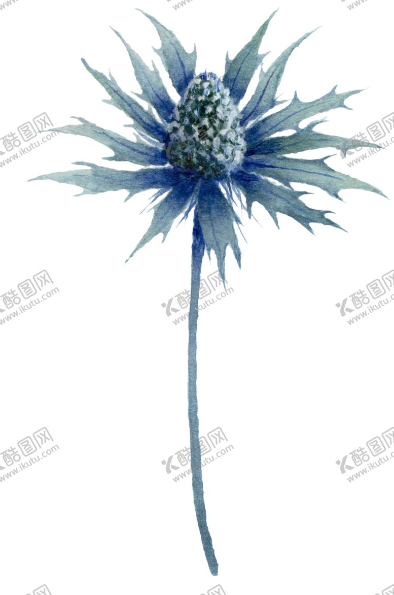 编号：62162910040141149143【酷图网】源文件下载-植物