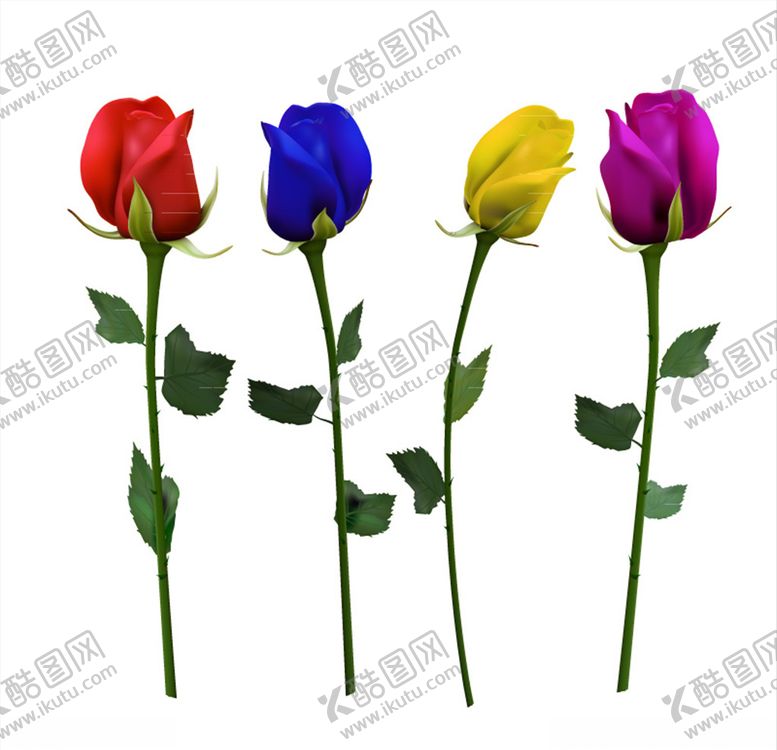 编号：71202010101045065888【酷图网】源文件下载-手绘玫瑰花