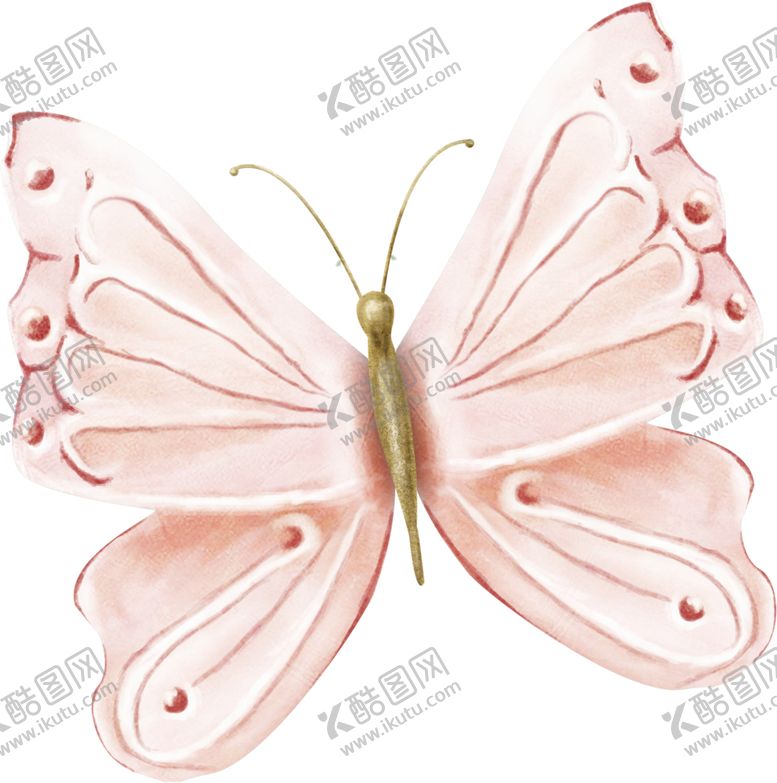 编号：44773410070936416941【酷图网】源文件下载-粉色飞舞花蝴蝶