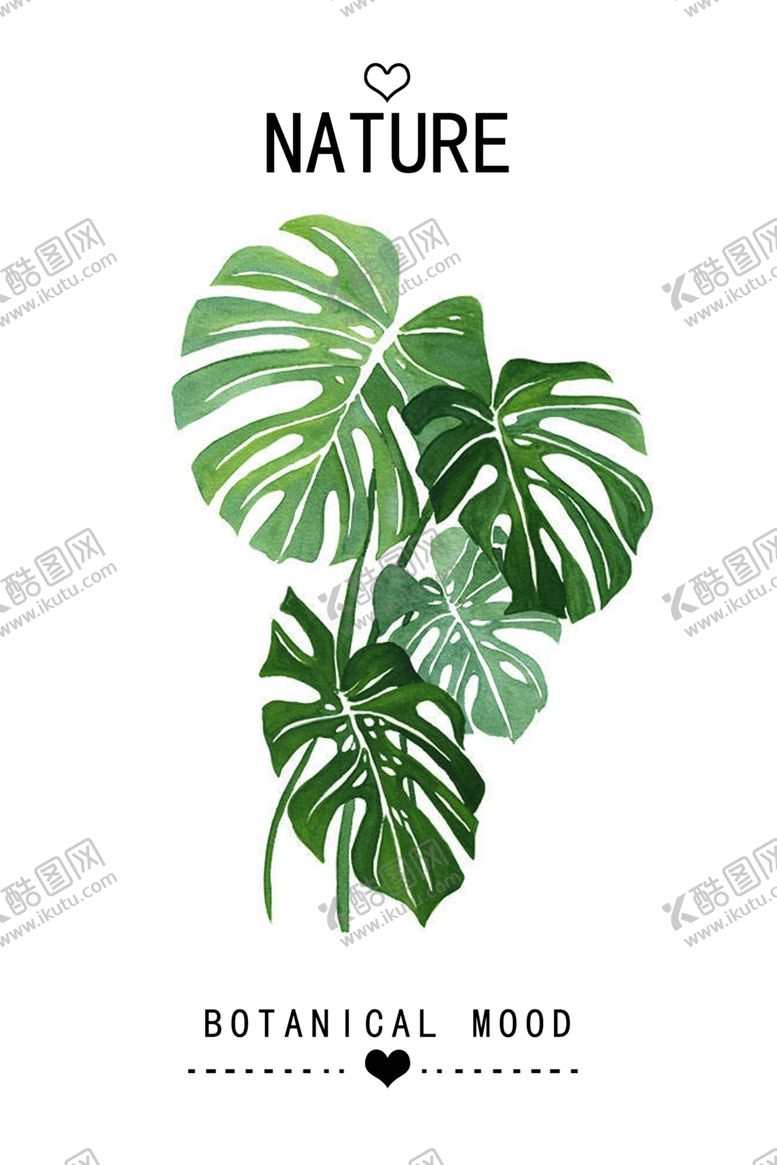 编号：52651409170755399237【酷图网】源文件下载-植物装饰画图片